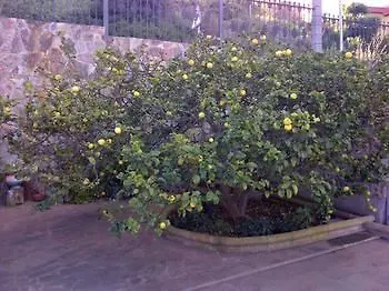 Rk El Cabo 度假居 圣布里吉达