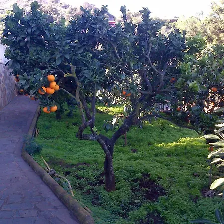 Rk El Cabo * Santa Brigida (Gran Canaria)